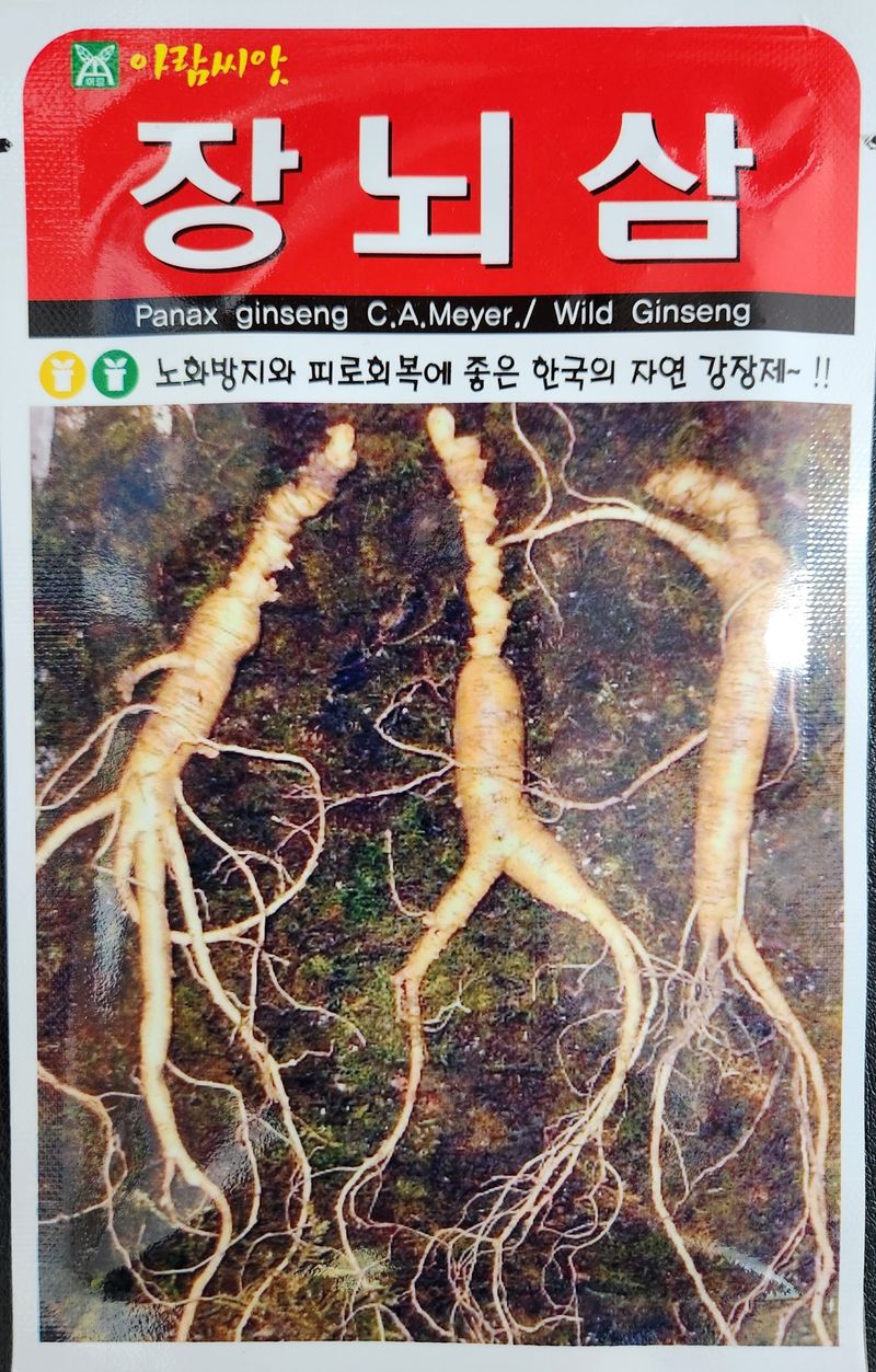 장터 상품 [장뇌삼씨앗 200립 26년포장 남은수량3봉] 썸네일