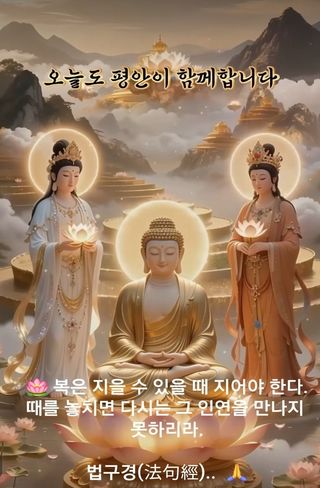 MSG0074님의 자유주제 · 자유게시판 작성글 사진