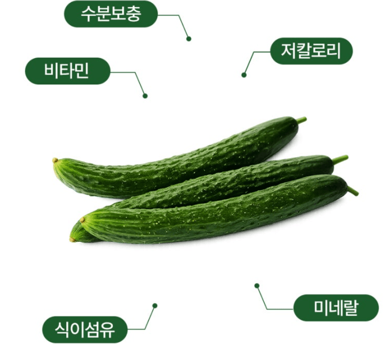 메종루엘님의 장터 판매 상품 [가시오이] 첨부 사진