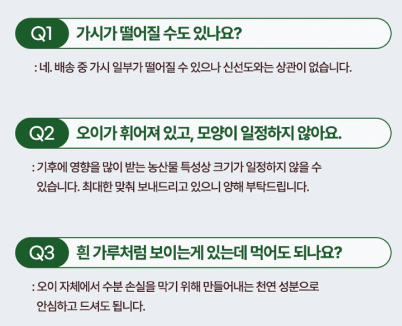 메종루엘님의 장터 판매 상품 [가시오이] 첨부 사진