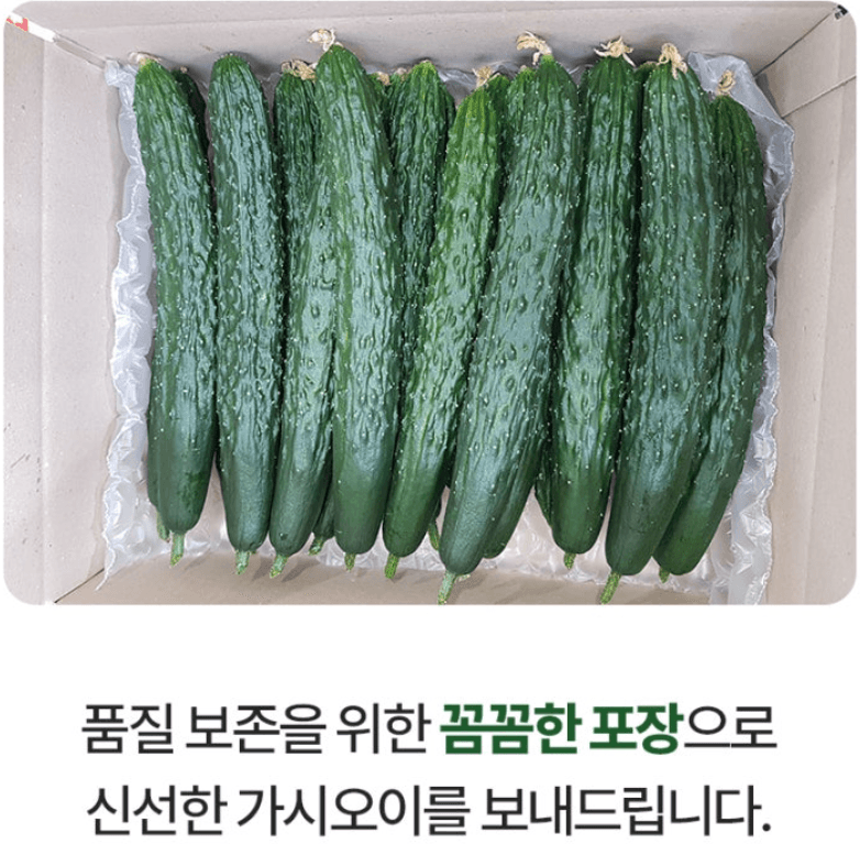 메종루엘님의 장터 판매 상품 [가시오이] 첨부 사진