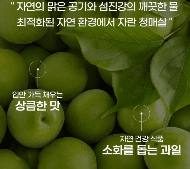 메종루엘님의 장터 판매 상품 [국내산 청매실] 첨부 사진