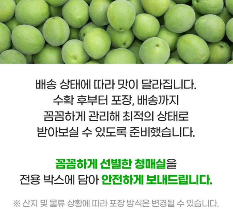메종루엘님의 장터 판매 상품 [국내산 청매실] 첨부 사진