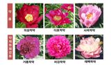 팜모닝 자유주제·자유게시판 게시글 이미지