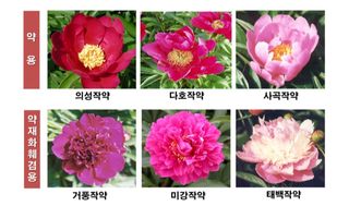 늘보농장님의 자유주제 · 자유게시판 작성글 사진