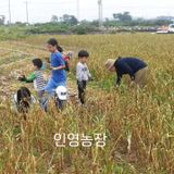 한경훈님의 자유주제·자유게시판 작성글 사진