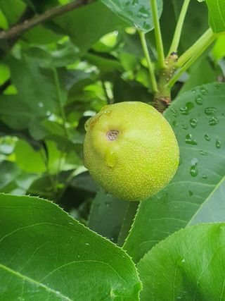 하나라도 소중하게님의 자유주제 · 자유게시판 작성글 사진