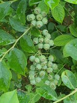 하나라도 소중하게님의 자유주제·자유게시판 작성글 사진