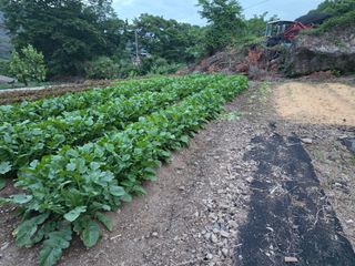 김윤철님의 자유주제 · 자유게시판 작성글 사진