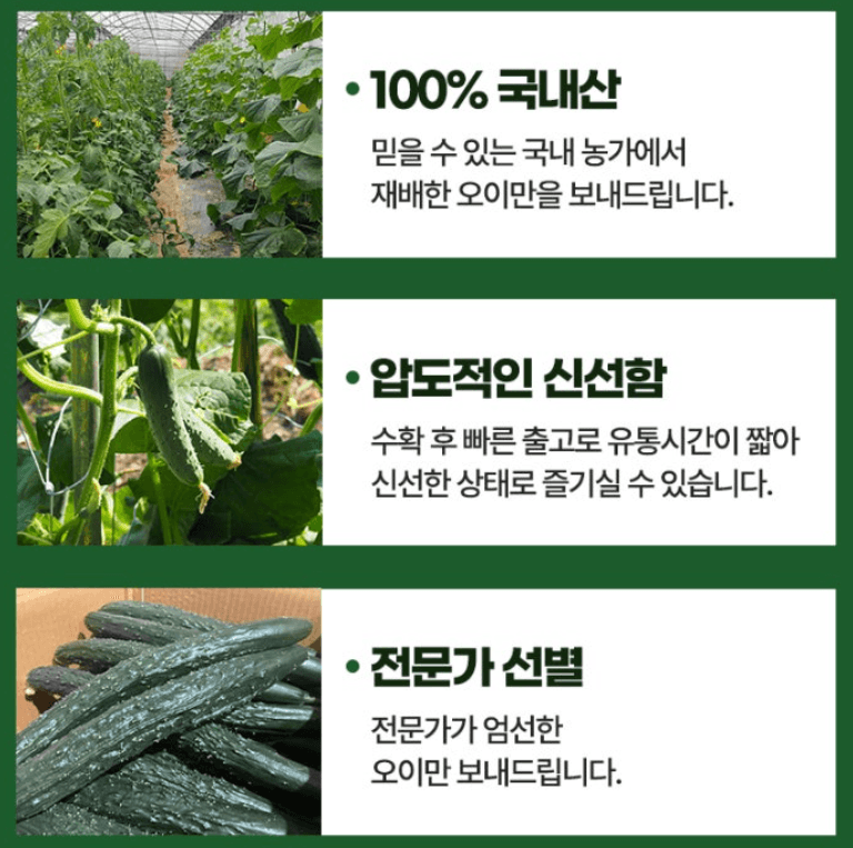 메종루엘님의 장터 판매 상품 [가시오이] 첨부 사진