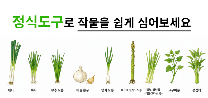 유니즈님의 장터 판매 상품 [작물 정식 도구 쪽파 대파 부추심기 마늘 양파 고구마 공심채 땅콩 정식기] 첨부 사진