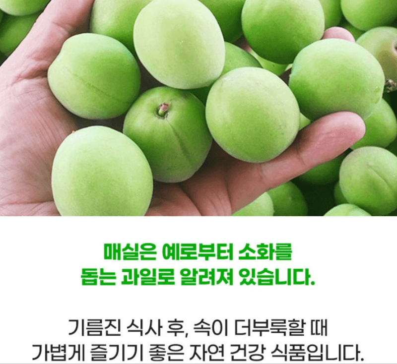 메종루엘님의 장터 판매 상품 [국내산 청매실] 첨부 사진
