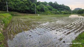 서희수님의 자유주제 · 자유게시판 작성글 사진