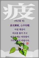팜모닝 자유주제·자유게시판 게시글 이미지