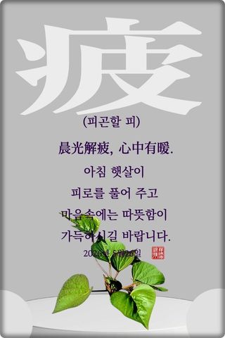 정진해님의 자유주제·자유게시판 작성글 사진