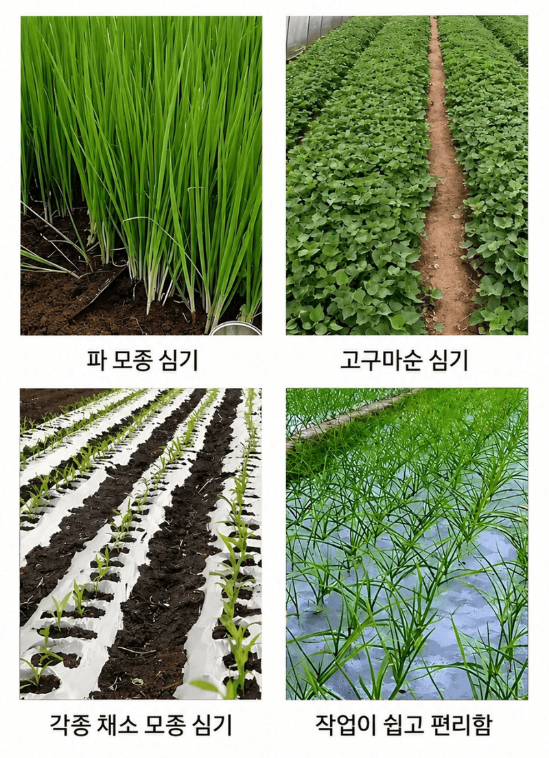 유니즈님의 장터 판매 상품 [작물 정식 도구 쪽파 대파 부추심기 마늘 양파 고구마 공심채 땅콩 정식기] 첨부 사진