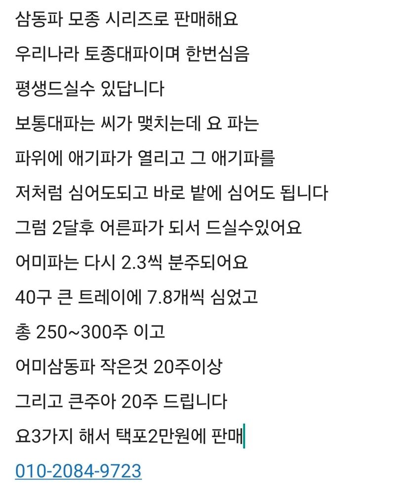 삼성농산님의 장터 판매 상품 [삼동파 모종 시리즈 판매] 첨부 사진