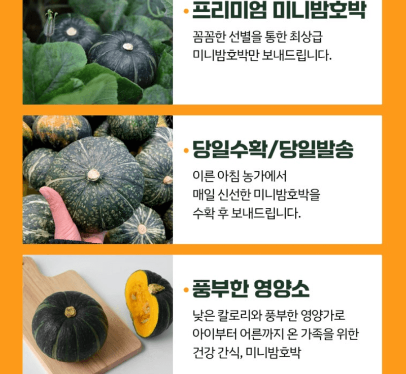 메종루엘님의 장터 판매 상품 [특가 제주도 미니밤호박 (보우짱)] 첨부 사진
