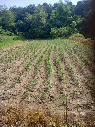 전국하님의 자유주제 · 자유게시판 작성글 사진
