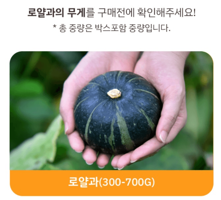 메종루엘님의 장터 판매 상품 [특가 제주도 미니밤호박 (보우짱)] 첨부 사진