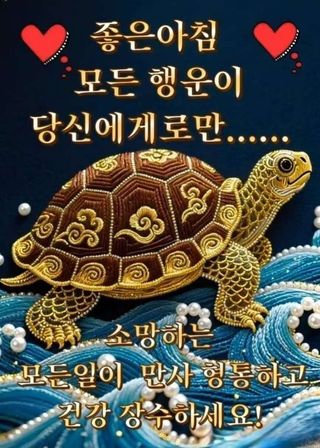 최재만님의 자유주제·자유게시판 작성글 사진