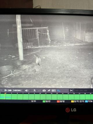 한의원9288269님의 자유주제 · 건의해요 작성글 사진