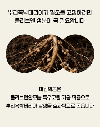 농업마켓365님의 작성글 사진