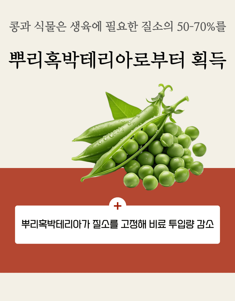 농업마켓365님의 장터 판매 상품 [마법의콩 10KG 콩전용비료 뿌리혹박테리아활성 도복예방 뿌리활력 비료] 첨부 사진