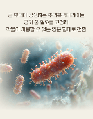 농업마켓365님의 작성글 사진