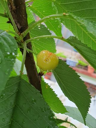 하나라도 소중하게님의 자유주제 · 자유게시판 작성글 사진