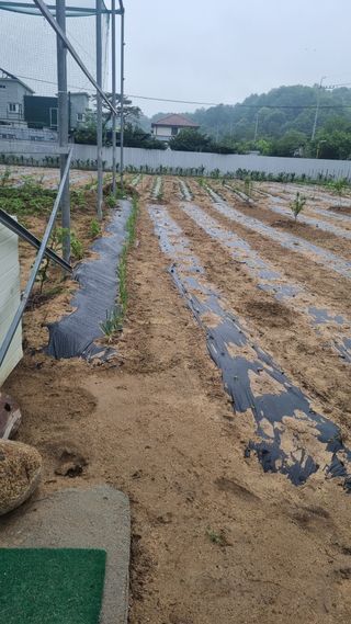 곽은주님의 자유주제 · 사진전 작성글 사진