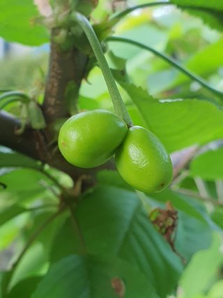 하나라도 소중하게님의 자유주제 · 자유게시판 작성글 사진