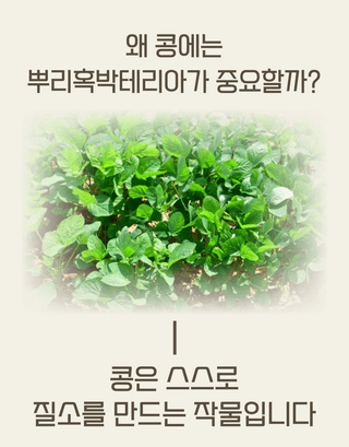 농업마켓365님의 작성글 사진