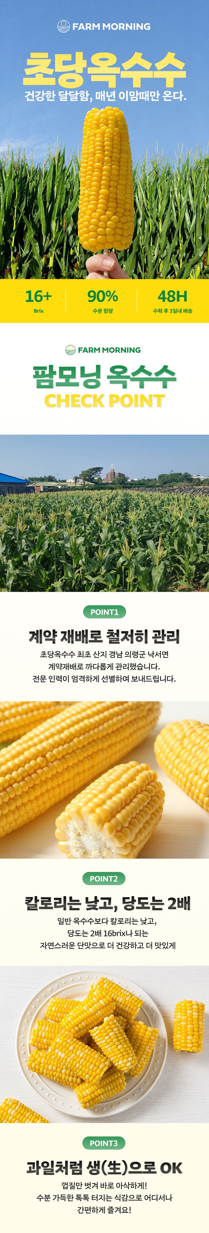 팜모닝 산지직송님의 장터 판매 상품 [2026수확 산지직송 초당옥수수 중품/특품 5개] 첨부 사진
