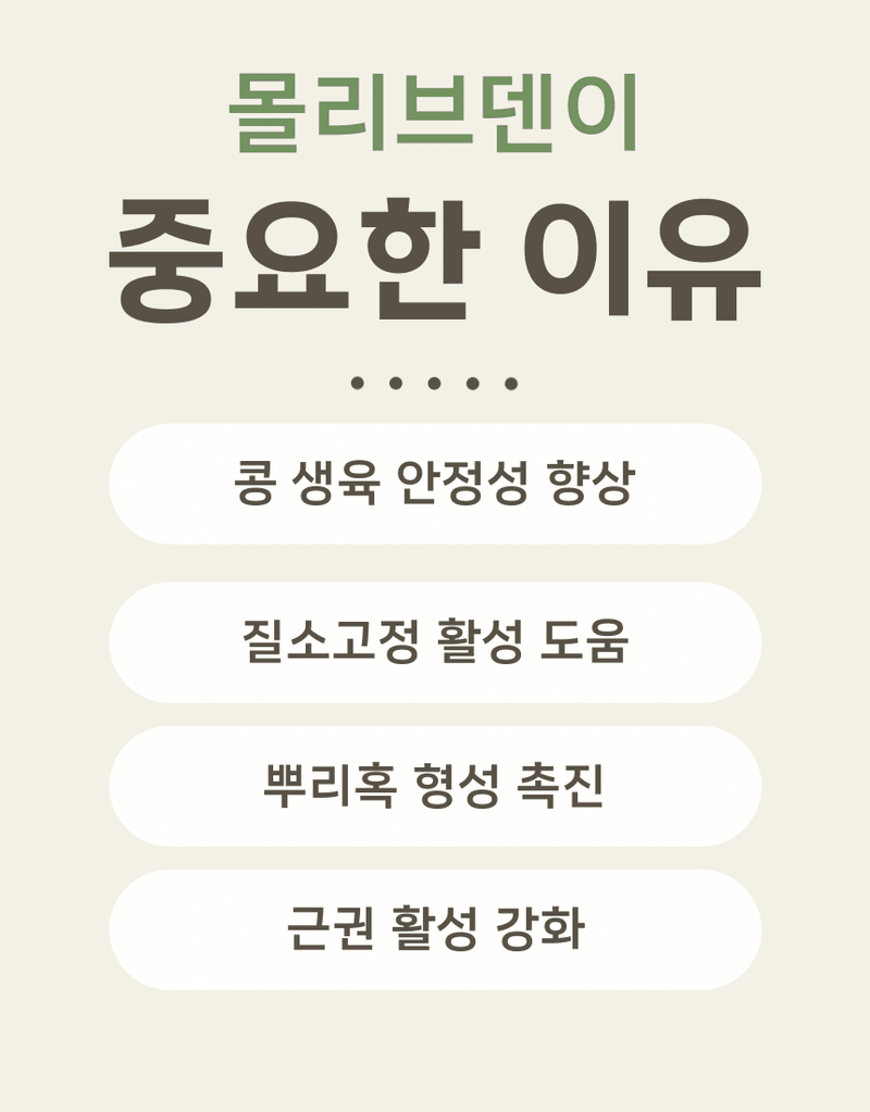 농업마켓365님의 장터 판매 상품 [마법의콩 10KG 콩전용비료 뿌리혹박테리아활성 도복예방 뿌리활력 비료] 첨부 사진