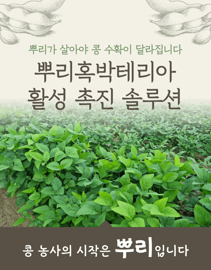 농업마켓365님의 장터 판매 상품 [마법의콩 10KG 콩전용비료 뿌리혹박테리아활성 도복예방 뿌리활력 비료] 첨부 사진