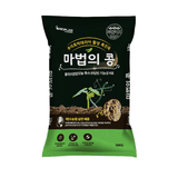팜모닝 · 게시글 이미지