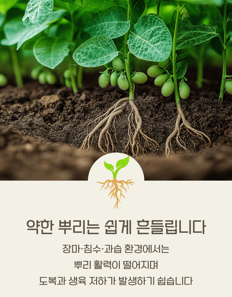 농업마켓365님의 장터 판매 상품 [마법의콩 10KG 콩전용비료 뿌리혹박테리아활성 도복예방 뿌리활력 비료] 첨부 사진