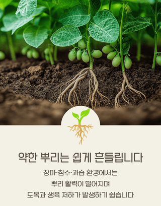 농업마켓365님의 작성글 사진