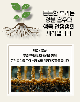 농업마켓365님의 작성글 사진