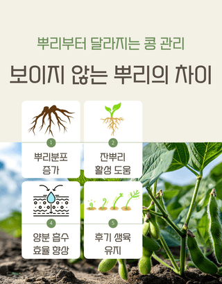 농업마켓365님의 작성글 사진