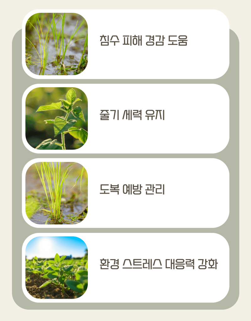 농업마켓365님의 장터 판매 상품 [마법의콩 10KG 콩전용비료 뿌리혹박테리아활성 도복예방 뿌리활력 비료] 첨부 사진