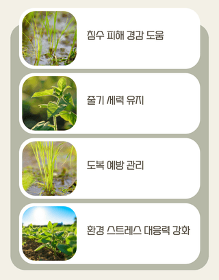 농업마켓365님의 작성글 사진