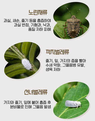 농업마켓365님의 작성글 사진
