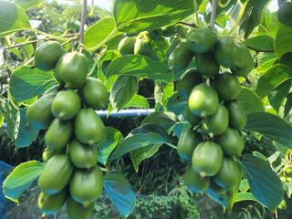이승준님의 자유주제 · 자유게시판 작성글 사진