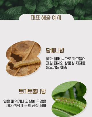 농업마켓365님의 작성글 사진