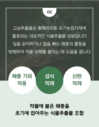 농업마켓365님의 작성글 사진
