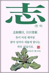팜모닝 자유주제·자유게시판 게시글 이미지