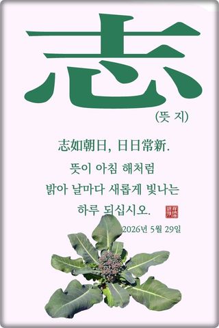 정진해님의 자유주제 · 자유게시판 작성글 사진