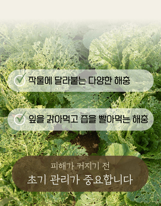 농업마켓365님의 작성글 사진